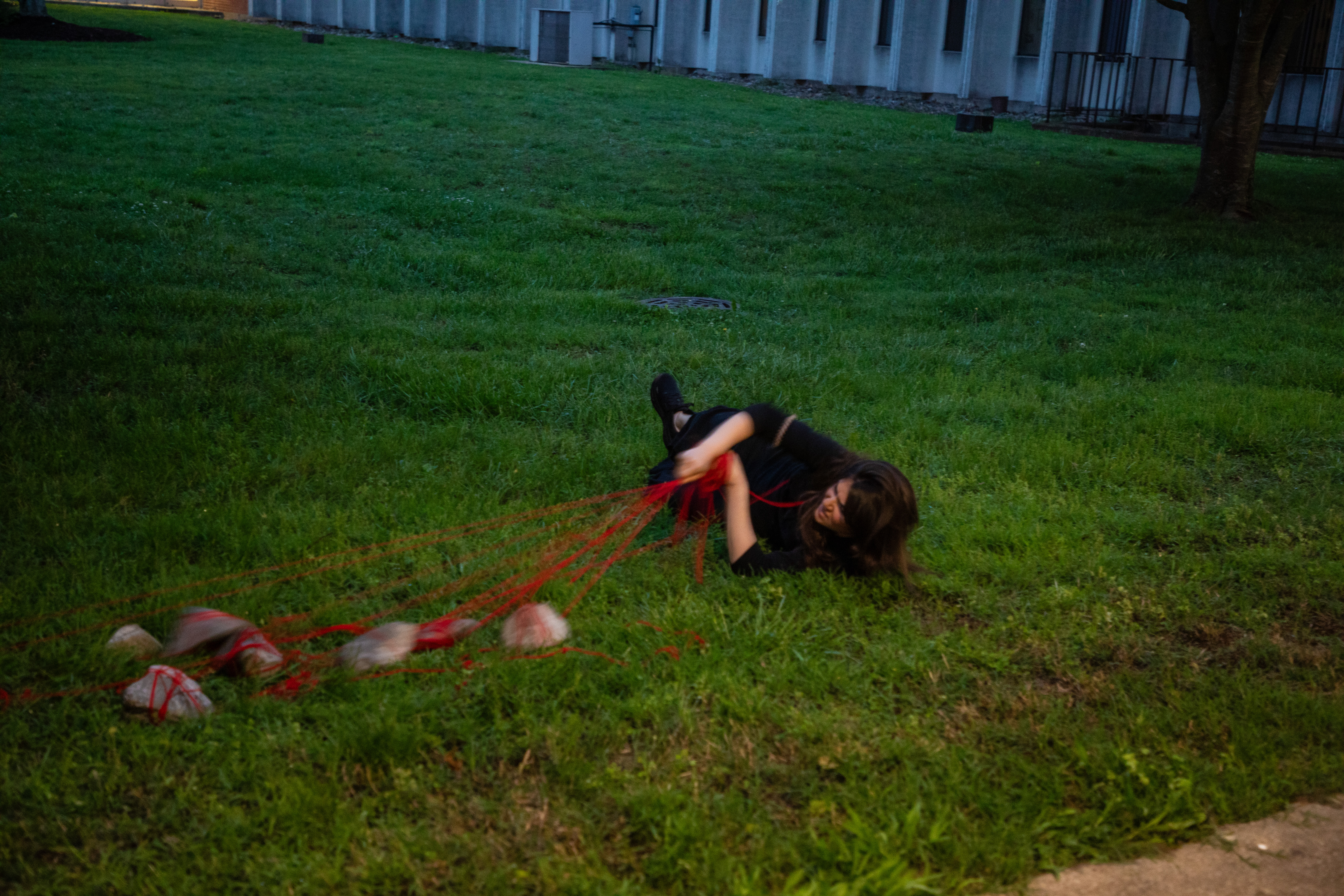 Crustose performance photo 5