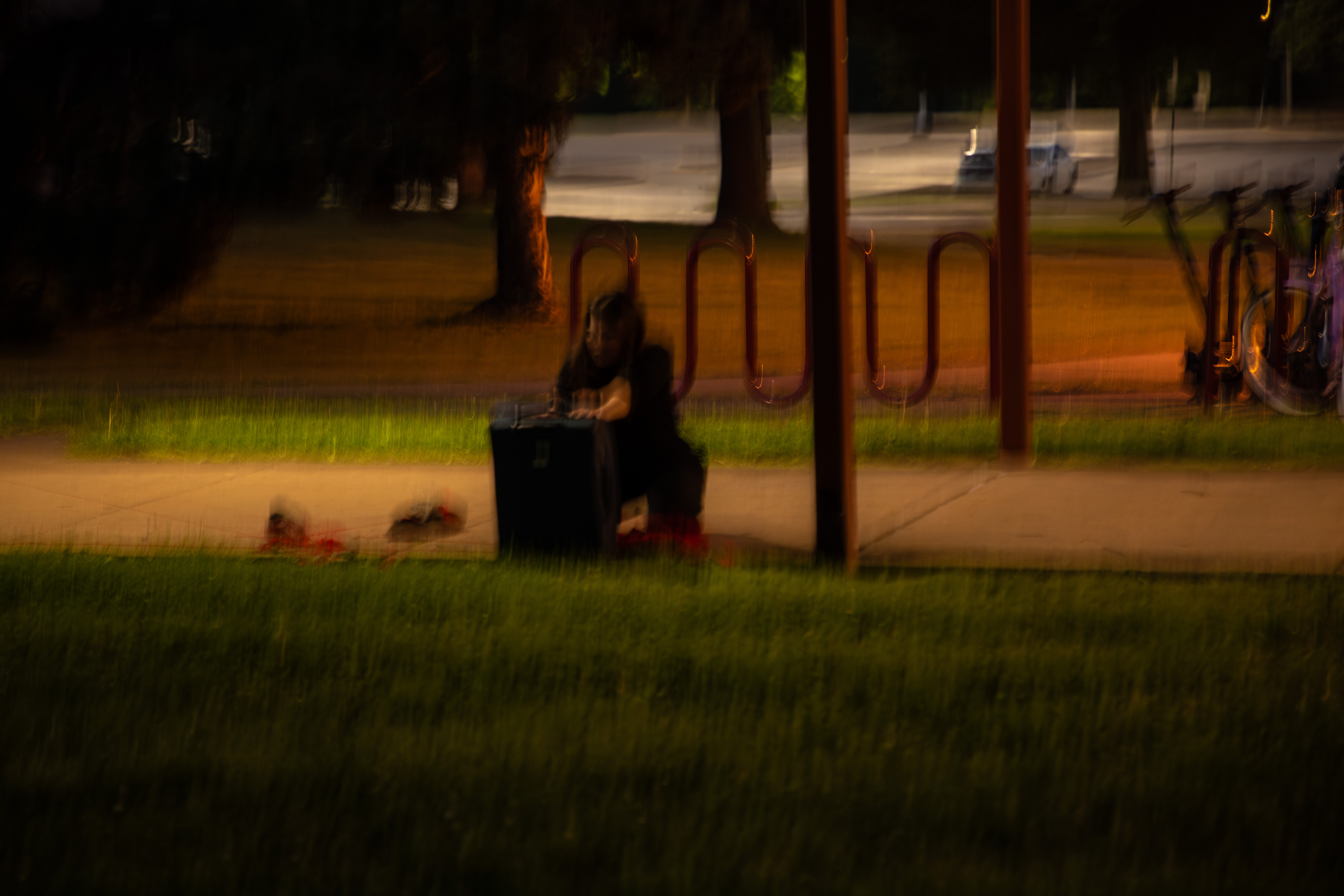 Crustose performance photo 6